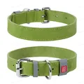 Нашийник для собак Collar WAUDOG Classic шкіряний, металева пряжка, ширина 20 мм, довжина 30-39 см, салатовий