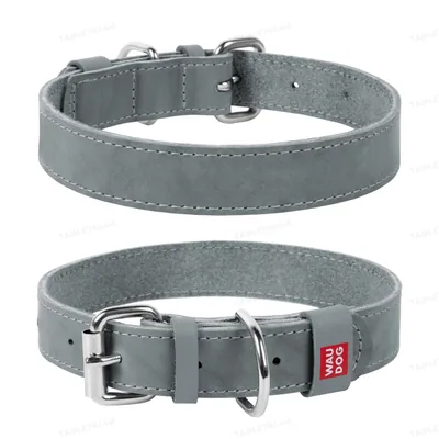 Нашийник для собак Collar WAUDOG Classic шкіряний, металева пряжка, ширина 25 мм, довжина 38-49 см, сірий