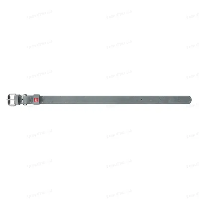 Нашийник для собак Collar WAUDOG Classic шкіряний, металева пряжка, ширина 25 мм, довжина 38-49 см, сірий