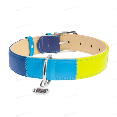 Нашийник для собак Collar WAUDOG Glamour Веселка ширина 20 мм, довжина 30-39 см