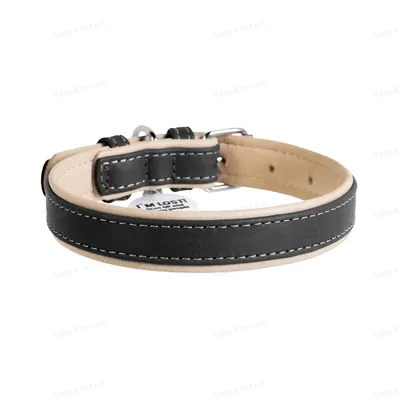 Нашийник для собак Collar WAUDOG Soft шкіряний, металева пряжка, ширина 20 мм, довжина 30-39 см, чорний верх