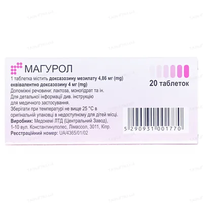 Магурол таблетки по 4 мг №20 (10х2)