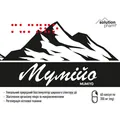 Мумійо Solution Pharm капсули №60