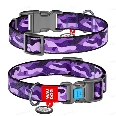 Нашийник Collar WAUDOG Nylon з QR-паспортом, малюнок Фіолетовий камо, пластиковий фастекс, ширина 25 мм довжина 31-49 см