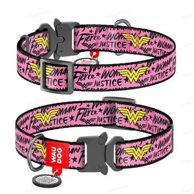 Нашийник Collar WAUDOG Nylon з QR-паспортом, малюнок Чудо-жінка 1, пластиковий фастекс, ширина 15 мм довжина 23-35 см