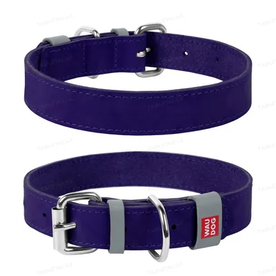 Нашийник для собак Collar WAUDOG Classic шкіряний, металева пряжка, ширина 12 мм, довжина 19-25 см, фіолетовий