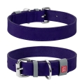 Нашийник для собак Collar WAUDOG Classic шкіряний, металева пряжка, ширина 12 мм, довжина 19-25 см, фіолетовий