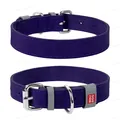 Нашийник для собак Collar WAUDOG Classic шкіряний, металева пряжка, ширина 12 мм, довжина 19-25 см, фіолетовий