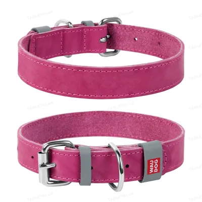 Нашийник для собак Collar WAUDOG Classic шкіряний, металева пряжка, ширина 15 мм, довжина 27-36 см, рожевий