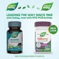 Чорниця Nature's Way Bilberry преміум екстракт, 60 веганських капсул