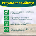 Фиточай Победитель по 2,0 г №20 в фил.-пак.