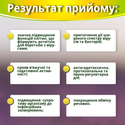 Эхинацея с бузиной Супер экстракт сироп по 75 мл во флак.