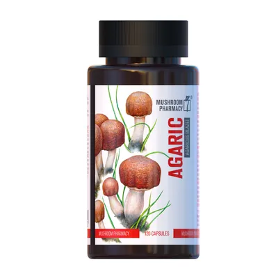Гриб Агарік Mushroom Pharmacy Agaric капсули №120