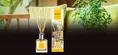 Аромадифузор Areon Home Perfumes Сонячний будинок, 150 мл