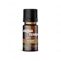 Ефірна олія Aroma Terra Імбиру, 10 мл