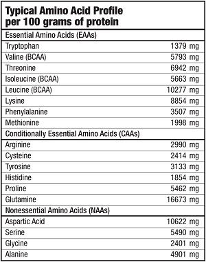 Протеїн Biotech Iso Whey Горіх, 500 г