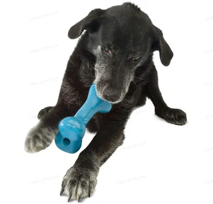 Іграшка для собак Planet Dog Orbee-Tuff Tug Bone Blue pd68682 кістка мала, блакитна