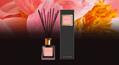 Аромадифузор Areon Home Perfumes Premium Цвіт півонії, 150 мл