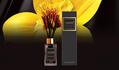 Аромадифузор Areon Home Perfumes Premium Чорна ваніль, 85 мл