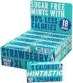 Драже Mintastic Sugar Free (з підсолоджувачем) з м'ятою, 36 г