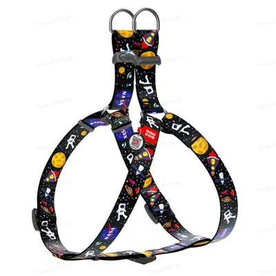 Шлея для собак Collar WAUDOG Nylon NASA, з QR паспортом ширина 15 мм, довжина 40-55 см