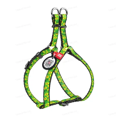 Шлея для собак Collar WAUDOG Nylon Авокадо, з QR паспортом ширина 10 мм, довжина 28-40 см