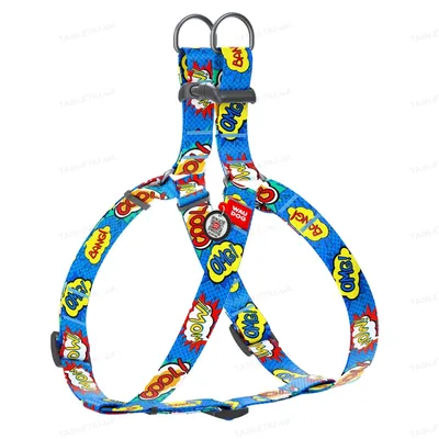 Шлея для собак Collar WAUDOG Nylon ВАУ, з QR паспортом ширина 25 мм, довжина 60-90 см