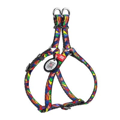 Шлея для собак Collar WAUDOG Nylon Витраж, с QR паспортом ширина 10 мм, длина 28-40 см