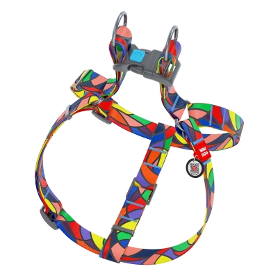 Шлея для собак Collar WAUDOG Nylon Витраж, с QR паспортом ширина 25 мм, длина 60-90 см