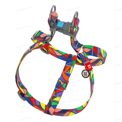 Шлея для собак Collar WAUDOG Nylon Вітраж, з QR паспортом ширина 25 мм, довжина 60-90 см