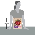 Корм сухой Purina One Mini/Small Sensitive для взрослых собак мелких пород с чувствительным пищеварением, с лососем и рисом, 800 г