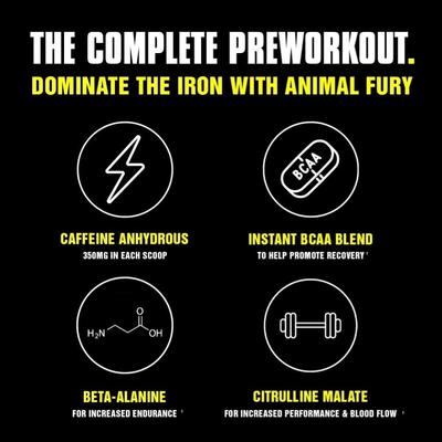 Передтренувальний комплекс Universal Nutrition Animal Fury, зелене яблуко, 507 г
