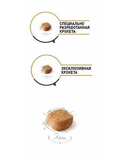 Корм сухой для собак Royal Canin Yorkshire Terrier Adult старше 10 месяцев, 0,5 кг