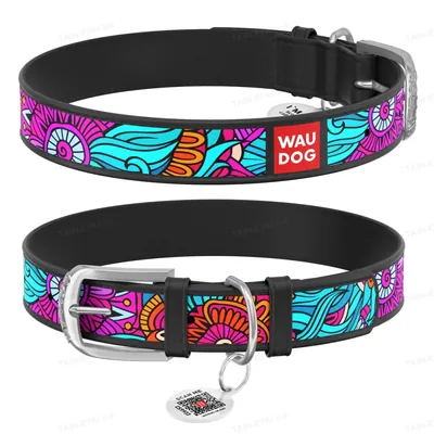 Нашийник для собак Collar WAUDOG Design з QR паспортом, малюнок Літо, шкіряний, ширина 12 мм довжина 19-25 см, чорний