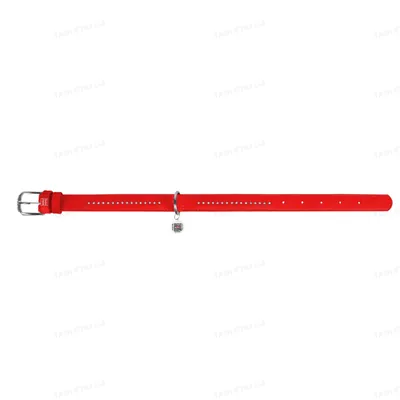 Нашийник для собак Collar WAUDOG Glamour з QR паспортом шкіряний, ширина 15 мм довжина 27-36, червоний