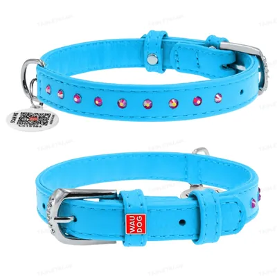 Нашийник для собак Collar WAUDOG Glamour з QR паспортом, з клейовими стразами, ширина 12 мм довжина 21-29 см, блакитний