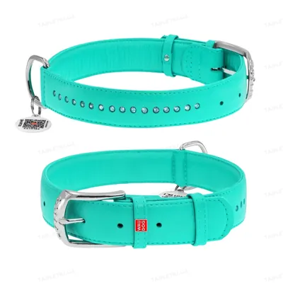 Нашийник для собак Collar WAUDOG Glamour з QR паспортом, з клейовими стразами, ширина 15 мм довжина 27-36 см, м'ятний