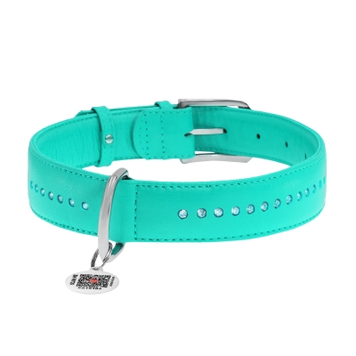 Ошейник для собак Collar WAUDOG Glamour с QR паспортом, с клеевыми стразами , ширина 15 мм длина 27-36 см, мятный