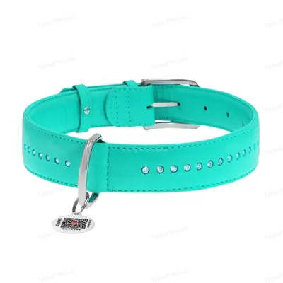 Нашийник для собак Collar WAUDOG Glamour з QR паспортом, з клейовими стразами, ширина 15 мм довжина 27-36 см, м'ятний