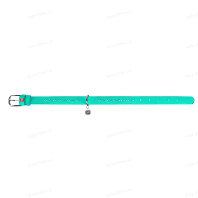 Нашийник для собак Collar WAUDOG Glamour з QR паспортом, з клейовими стразами, ширина 15 мм довжина 27-36 см, м'ятний