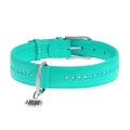 Ошейник для собак Collar WAUDOG Glamour с QR паспортом, с клеевыми стразами , ширина 15 мм длина 27-36 см, мятный