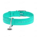 Нашийник для собак Collar WAUDOG Glamour з QR паспортом, з клейовими стразами, ширина 15 мм довжина 27-36 см, м'ятний