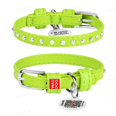 Нашийник для собак Collar WAUDOG Glamour з QR паспортом, з клейовими стразами, ширина 9 мм довжина 19-25 см, салатовий