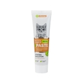Эко Паста Vitomax витаминная с кальцием для котят, 100 г