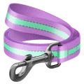 Повідець Collar 45759 WAUDOG Nylon світлонакопичувальний, ширина 25 мм довжина 122 см, фіолетовий