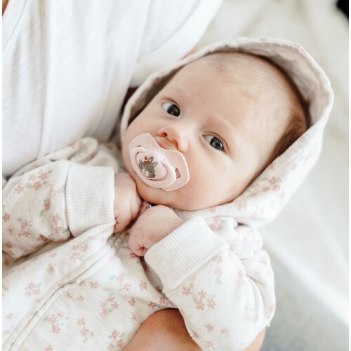 Пустышка силиконовая Canpol Babies Bonjour Paris симметричная 22/648_pin, 6-18 месяцев, 2 шт