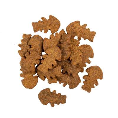 Лакомство для собак Savory Skin & Coat Crunchy Snacks для здоровья кожи и шерсти с лососем и бархатцами, 200 г