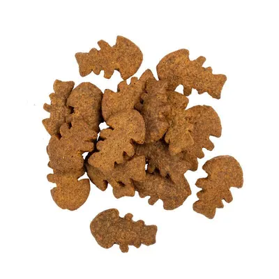 Ласощі для собак Savory Skin & Coat Crunchy Snacks для здоров'я шкіри та шерсті з лососем та чорнобривцями, 200 г