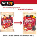 Лакомство для грызунов VetIQ Nibblots с ягодами для здоровья кожи и шерсти, 30 г