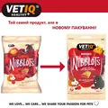 Ласощі для гризунів VetIQ Nibblots з ягодами для здоров'я шкіри та шерсті, 30 г